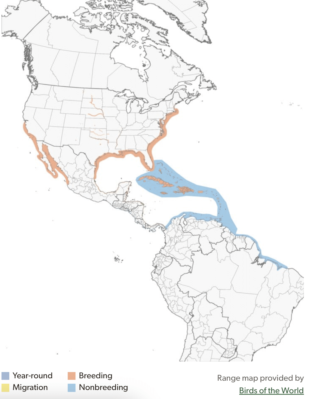 Least tern range map